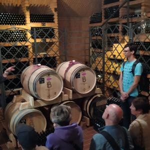 Vinobraní sv. Kláry 2019